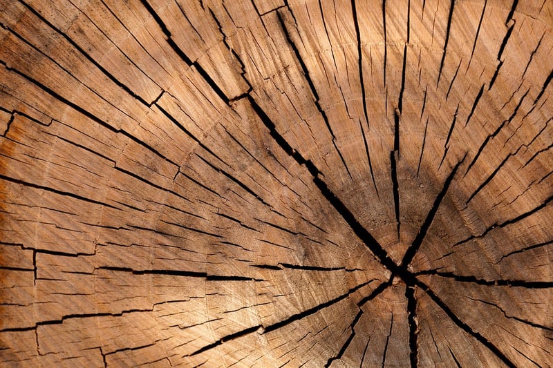 Wood Logs